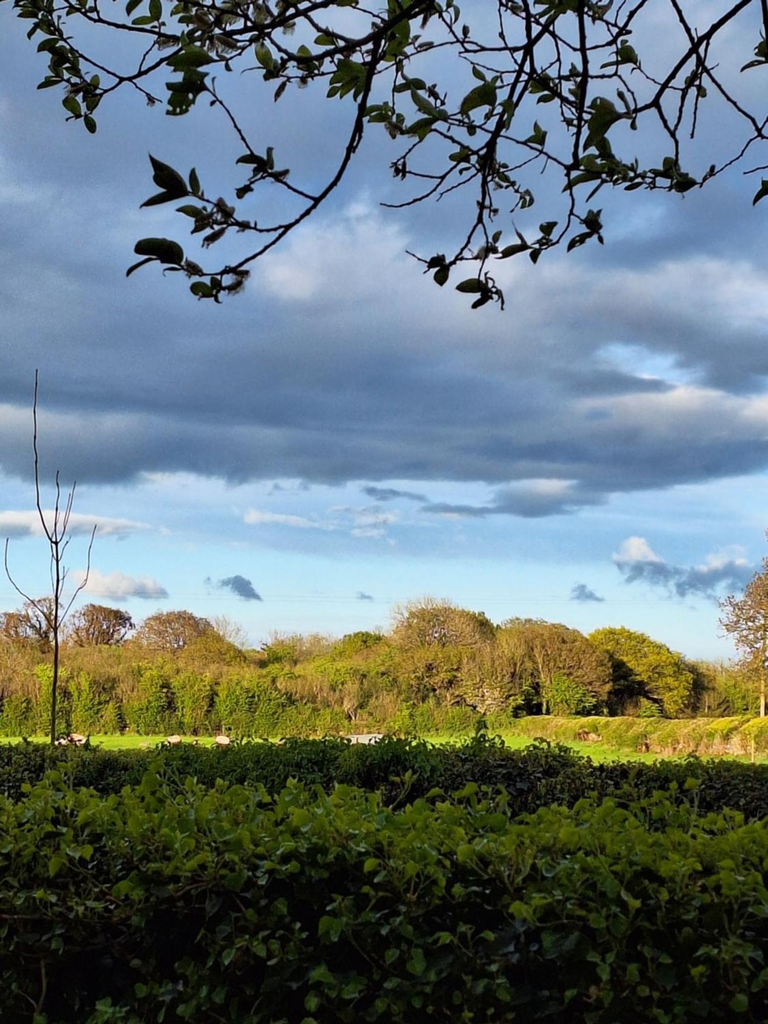 Ard Aoibhinn Roscommon Lecarrow エクステリア 写真