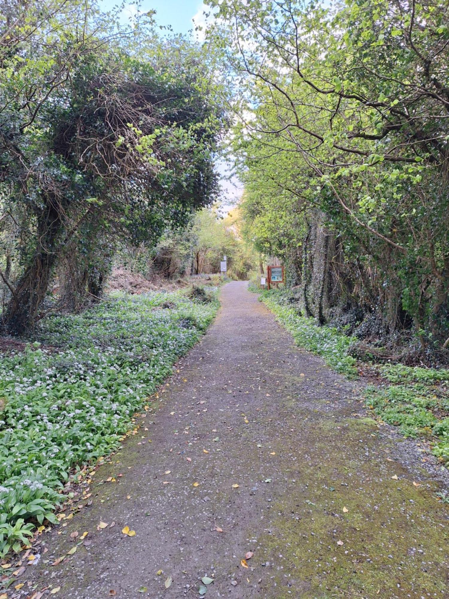 Ard Aoibhinn Roscommon Lecarrow エクステリア 写真